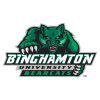 Бингэмптон