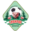 Сибиряк