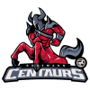 ROSSMANN Centaurs