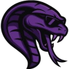 Team Cobra