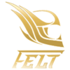 felt
