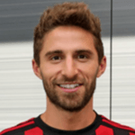 F. Borini