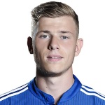 M. Meyer