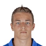 C. Nielsen