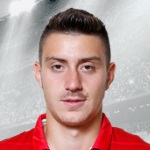 I. Nedelcearu