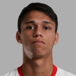 Luiz Araujo