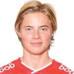 E. Hansson