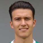 D. Ljubičić