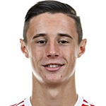 M. Friedl