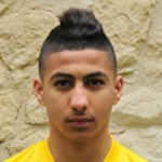 Y. Maziz