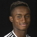 S. Sessegnon