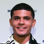 M. Robinson